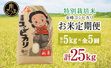 【定期便 全5回】金峰コシヒカリ 5kg×5ヶ月 お米定期便 コシヒカリ 特別栽培農産物 コメ おこめ 5キロ こしひかり 米 鹿児島県産 令和5年産 南さつま市
