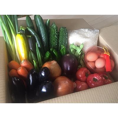 ふるさと納税 亀岡市 季節の旬の京野菜・こしひかり・地たまごの詰め合わせセット