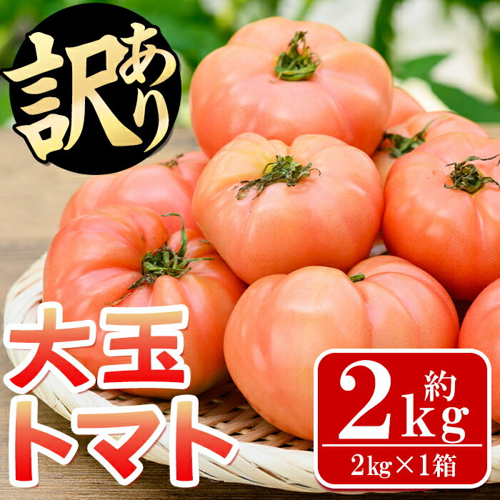 【ふるさと納税】《期間・数量限定》＜訳あり＞大玉トマト(約2kg) 鹿児島 国産 九州産 野菜 やさい 新鮮 とまと トマト 訳あり 規格外 ご家庭用 産地直送 サラダ 【吉祥庵園芸】