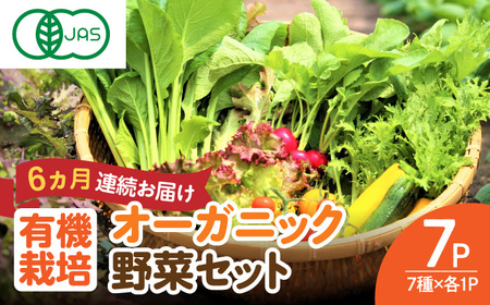 【全6回定期便】 オーガニック サラダミニセット 7種×1パック / 有機JAS 旬 季節の野菜セット 産地直送 詰め合わせ / 佐賀県 / 株式会社サガンベジ [41ANCH005]