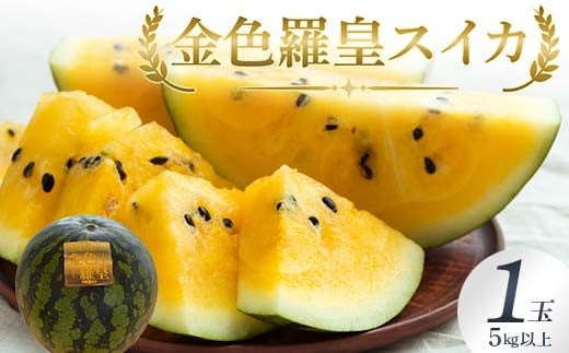 《2026年 先行予約》 スイカ 金色羅皇（こんじきらおう） 1玉 5kg以上 フルーツ 果物 FSY-2074
