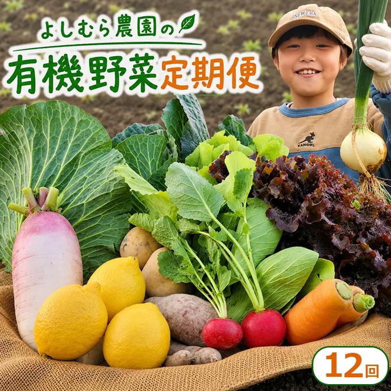 【定期便12回】 有機野菜 オーガニック 野菜セット