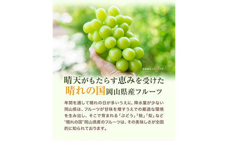 桃・シャインマスカット詰め合わせ 約1kg クール便 冷蔵便 桃 もも 葡萄 ブドウ ぶどうシャインマスカット マスカット フルーツ セット 先行予約 晴れの国おかやま館 《2024年8月下旬～9月中