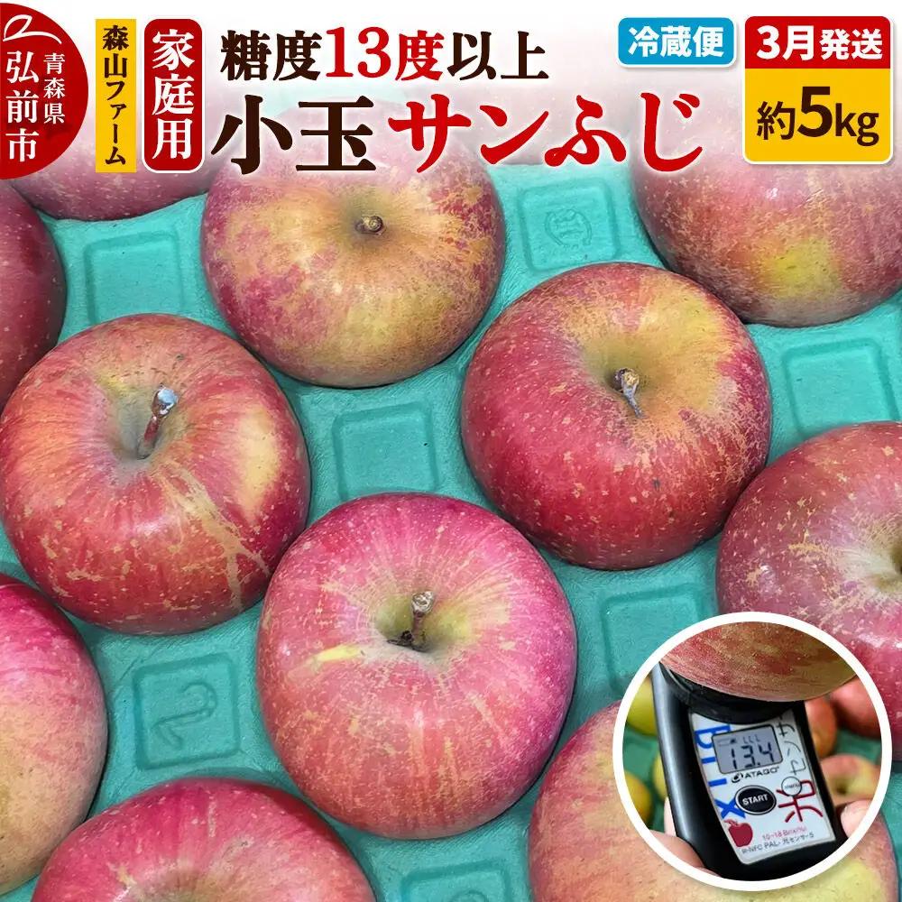 りんご サンふじ 家庭用 約5kg 小玉 3月クール便発送 りんご