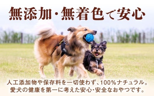 馬肉ジャーキー 50g