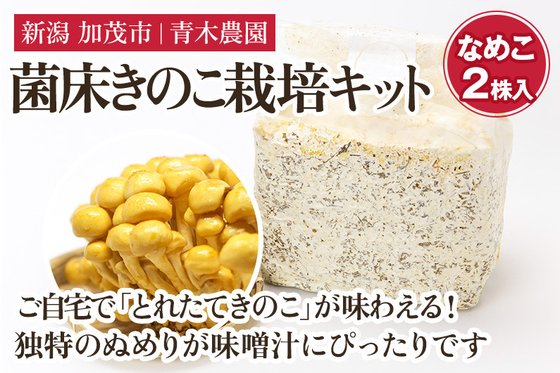 
            【2025年先行予約】菌床きのこ栽培キット なめこ 2株入り《10月上旬から順次発送》栽培キット 自家栽培 きのこ なめこ 栽培 初心者でも簡単 自宅 菌床 加茂市 青木農園
          