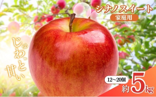 
                  矢島農園　 長野市産 シナノスイート 家庭用 5kg(12～20玉)【2026年10月下旬頃発送予定】 |  りんご フルーツ 果物 人気 おすすめ ギフト プレゼント 送料無料 長野県 長野市 信州 信濃 ふるさと納税
                