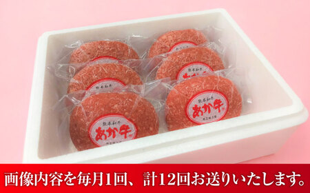 【全12回定期便】【限定数量】熊本和牛あか牛ハンバーグセット　120g×6個 / 菊陽町 あかうし 熊本県 肉 にく niku ブランド 旨み【有限会社　三協畜産】[BHAS035]