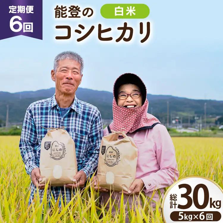 【期間限定発送】 米 定期便 コシヒカリ 白米 5kg 6回 総計 30kg