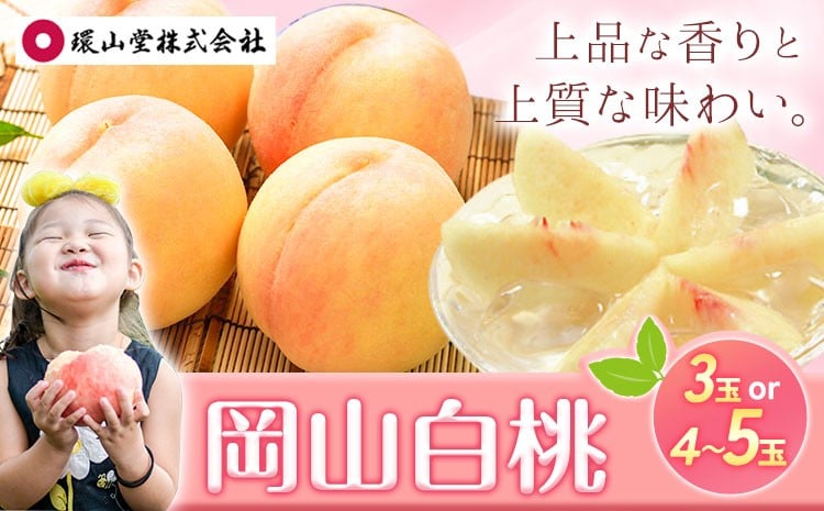 
                  【2026年先行予約】桃 もも 岡山白桃 3玉 800g以上 4~5玉 約1kg 岡山県産 環山堂株式会社《2026年7月上旬-8月上旬頃より発送予定》岡山県 浅口市 白桃 果物 フルーツ 送料無料
                
