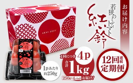 定期便 ≪12ヶ月連続お届け≫ フルーツミディトマト 約1kg × 12回 トマト 野菜  [m37-g001]