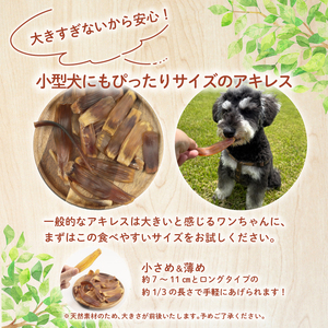 ペット ドッグフード 馬アキレスショート平板 100g ペット ペット ペット ペット ペット KT031 