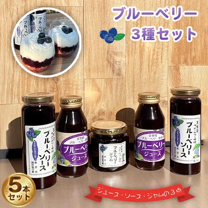 ブルーベリー加工品フルセット  [No.228]