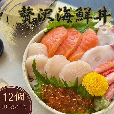 ふるさと納税 北見市 【北海道北見市加工】贅沢海鮮丼12個入りセット