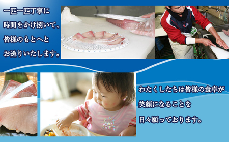 鰤 フィレ 約1.5kg 有限会社 アクアプラス 鰤 D020-090008