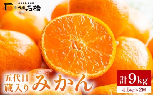 五代目みかん・蔵入りみかん計9㎏（4.5㎏×2回）／ふるさと納税 佐賀 みかん オレンジ フルーツ濃厚 甘い 酸味 大町 贈答 ギフト 贈り物 42ik-005