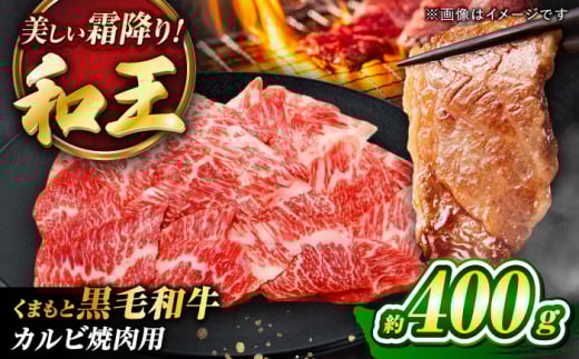 くまもと黒毛和牛 「和王」 カルビ焼肉用 約400g (約400g×1パック) / 牛肉 和王 黒毛和牛 肉 カルビ かるびわぎゅう リピート ごはん 贅沢 霜降り プレミア 高級 人気 くろげわぎゅう みすじ 高品質 九州 希少部位 熊本県 菊陽町【菊池地域農業協同組合】[BHBQ002]