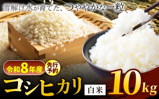 【令和8年産先行予約】コシヒカリ 白米 10kg 信州安曇野松川村産 松川村認定農業者 北アルプス 雪解け水 | 米 こめ コメ お米 白米 玄米 コシヒカリ ライス 長野県 松川村 信州 送料無料 国産米 産地直送 農家直送 新米対応