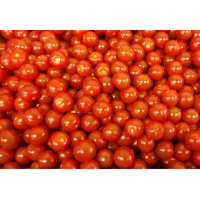 ふるさと納税 焼津市 トマトおでん(260g)　3パック(a10-1230) |  | 01