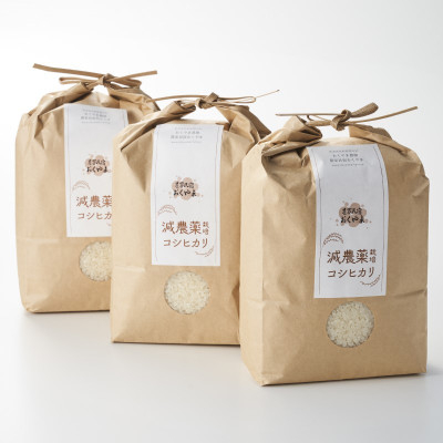 
            濃厚な甘み・うま味!岩船産コシヒカリ精米6kg (2kg×3袋)[農家民宿おくやま]【1584913】
          