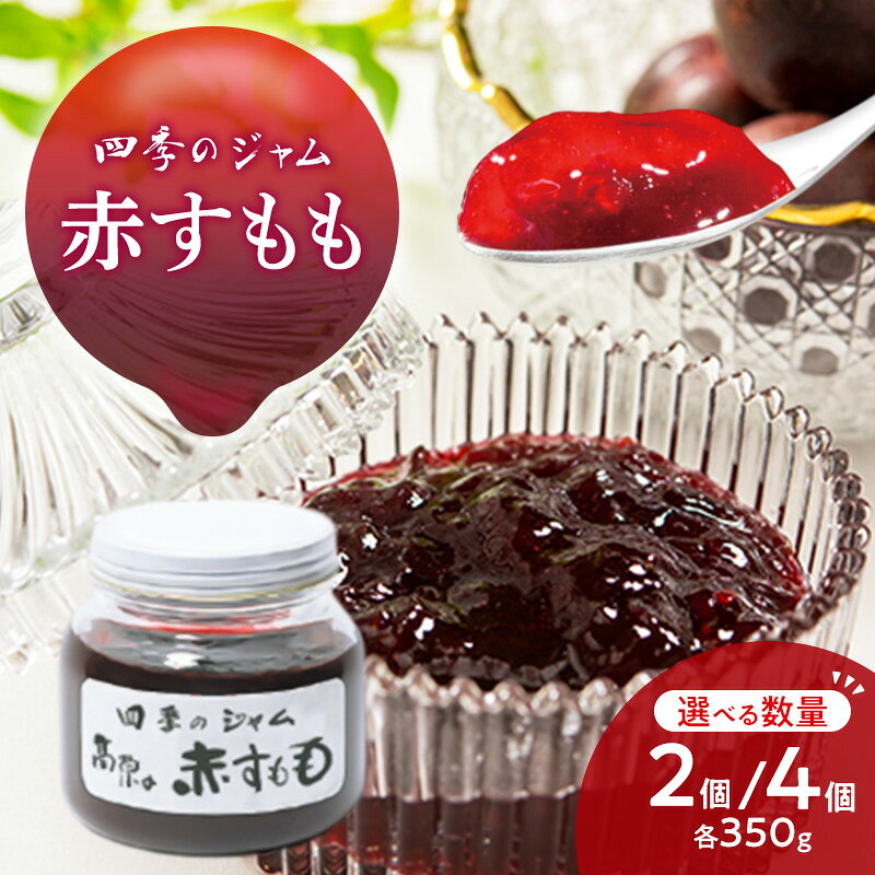 【ふるさと納税】赤すもも（M） 2個/4個セット 手作り セット すもも 果物 朝食 軽食 上田市