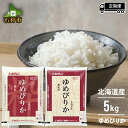 【ふるさと納税】【令和6年度産】【定期便】令和6年産【新米】ホクレンパールライス「ホクレン ゆめぴりか」【無洗米・精米】5kg×3回・6回・12回 石狩市 米 北海道 特Aランク 北海道米 道産米 北海道産 白米 精米 5キロ 15kg 15キロ JA 農協（のし対応可）