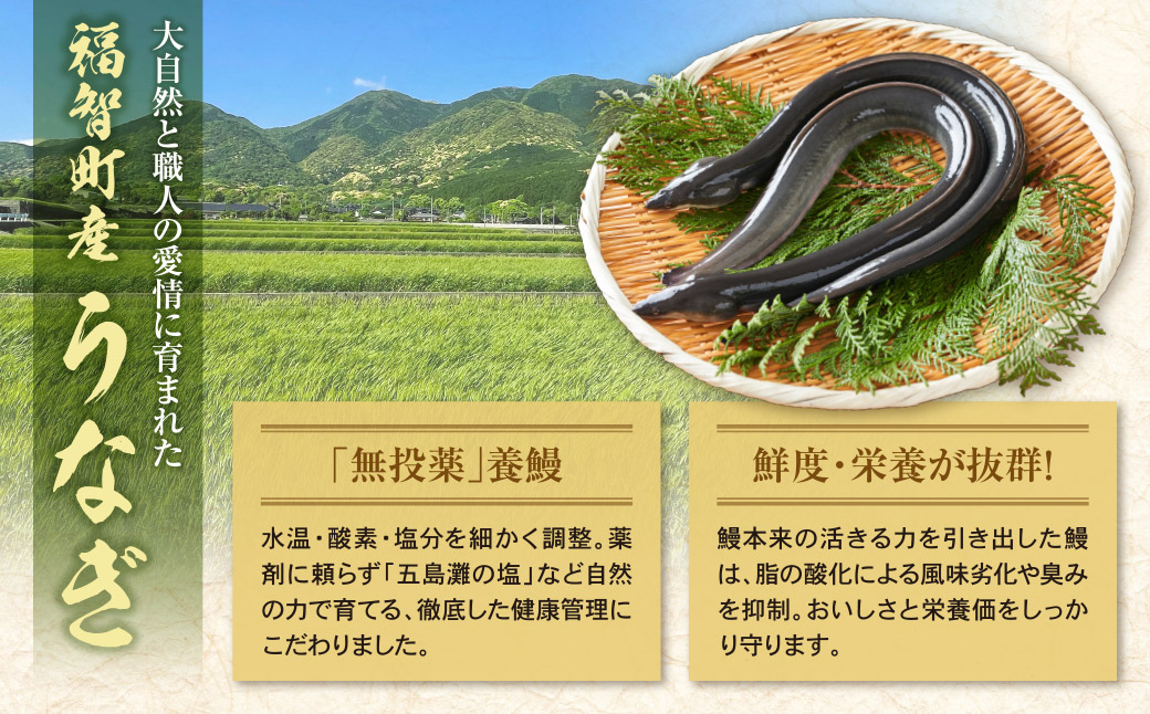 【2026年 丑の日 先行予約】頂鰻 福岡県産うなぎの蒲焼 4尾セット