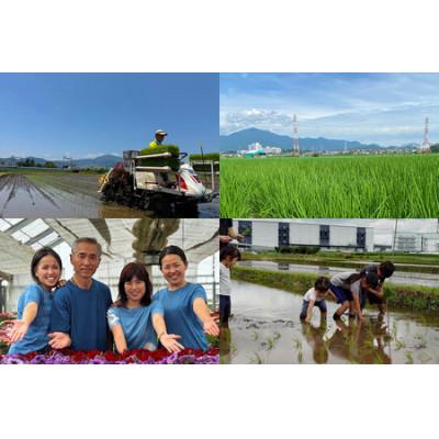 ふるさと納税 伊勢原市 新米[令和7年産]伊勢原産 精米 5kg はるみ 農家直送!加藤さんちのうんめぇ米 |  | 03