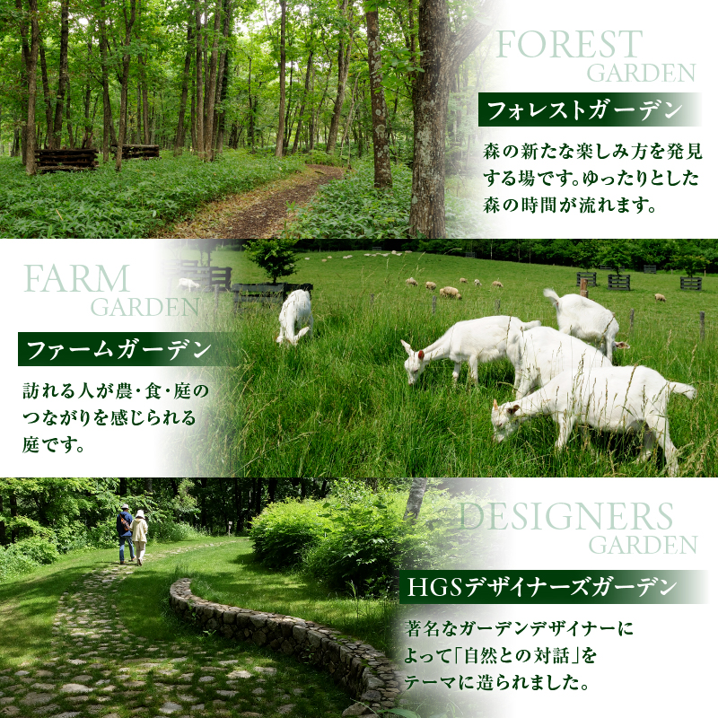 十勝千年の森 入場券 大人1名分【北海道 清水町 自然 十勝千年の森 十勝毎日新聞社 ガーデン 入場券 1名 レジャー おでかけ】