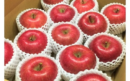 【先行予約2025年10月 発送開始】早生 ふじ 特選 約 3kg りんご 青森 産　