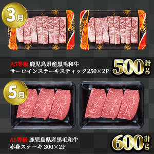 ＜定期便・全5回＞カミチク 特選黒毛和牛定期便 国産 鹿児島県産 黒毛和牛 【カミチク】T10