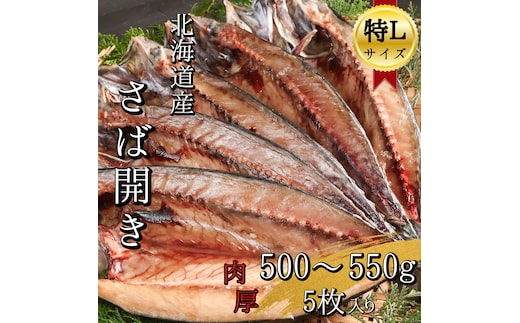 
										
										【北海道産】塩さば一夜干し開きLLサイズ 500~550g×5枚(真空パック入り干物)
									