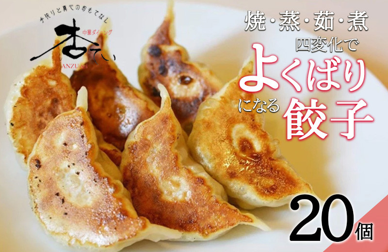 
焼・蒸・茹・煮　四変化のよくばり餃子　20個
