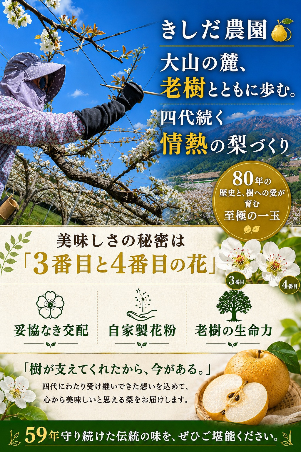 きしだ農園 二十世紀梨 進物5kg 【鳥取県 境港市】