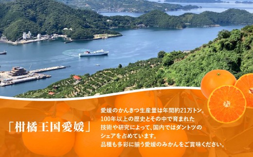 【愛媛県共通返礼品】【定期便】愛媛の柑橘定期便（全6回）（日の丸みかん・紅まどんな・いよかん・デコポン・せとか・河内晩柑） ※2026年11月～2027年4月に毎月1回発送予定 【 ふるさと納税 人気