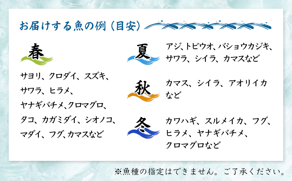 【3回定期便 / 隔月お届け】 刺身詰め合わせ （柵） 2-3人前 （3種類）〈冷蔵〉  釣屋魚問屋直営 ひみ岸壁市場