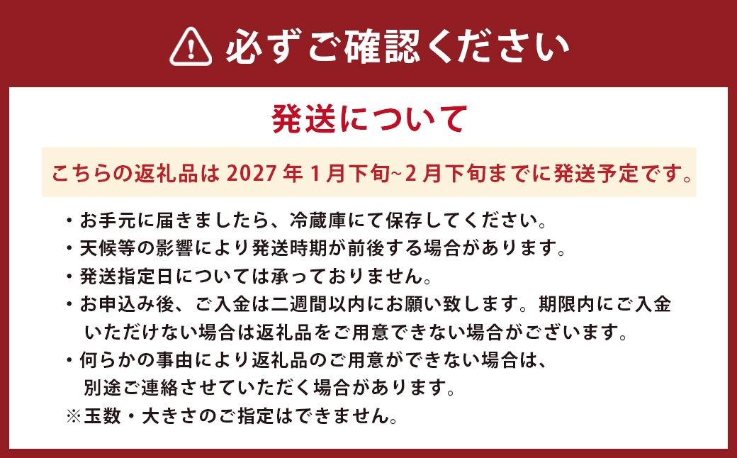 金柑1kg熊本県産ハウス栽培完熟フルーツきんかん