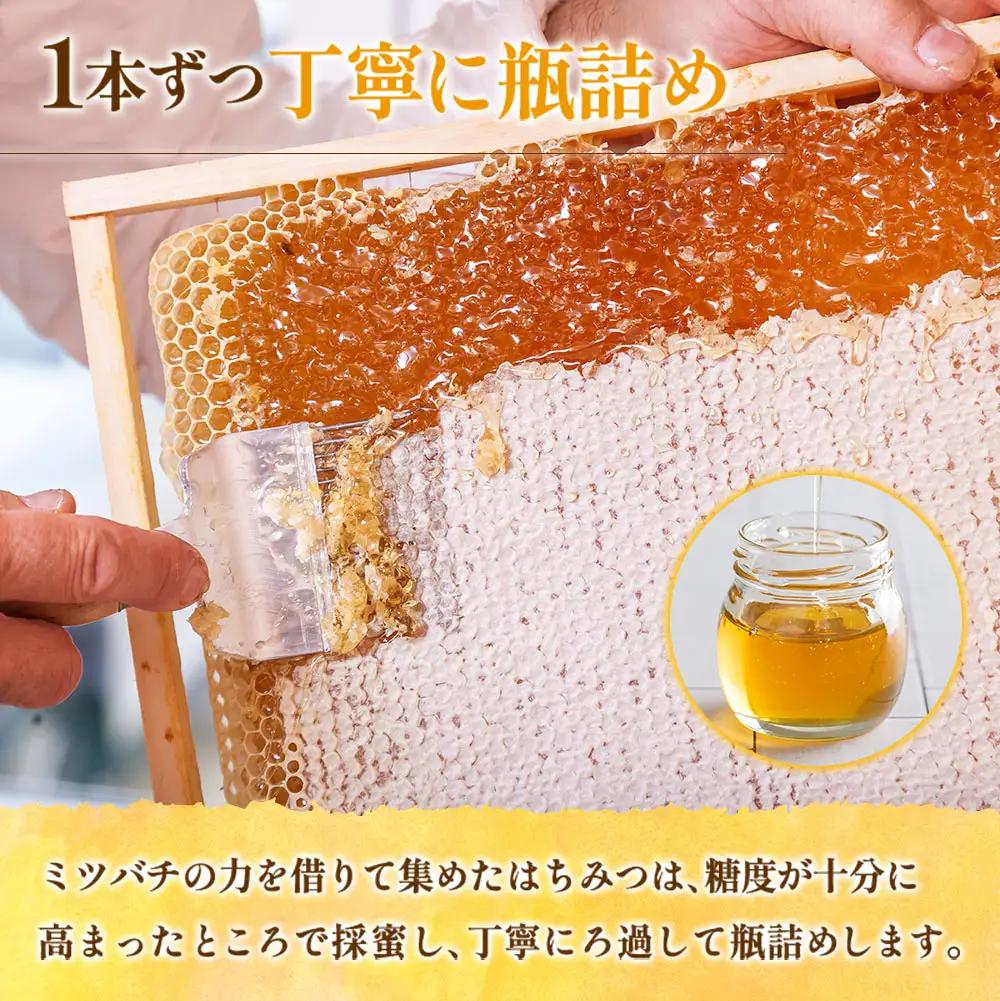 広島アンデルセン　アンデルセンファームのはちみつ（300g×1本） AN008_013