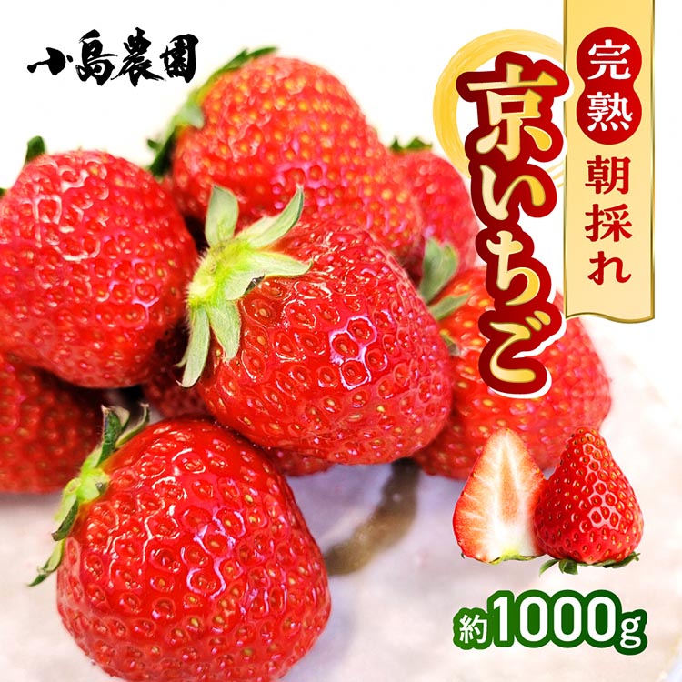 【数量限定】高級 京いちご 内容量 約1,000g（250g 4パック）【紅ほっぺ おいCベリー スターナイトから厳選してお届け】訳あり 完熟 朝採れ ※離島への配送不可 ※2025年2月上旬～5月下旬頃に順次発送予定