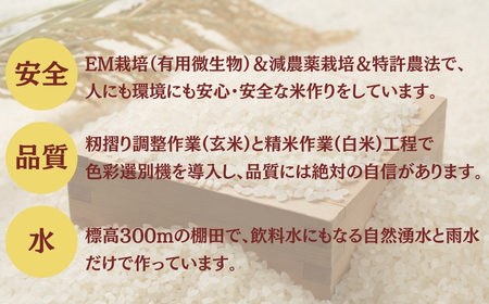 【令和8年 先行予約】魚沼産コシヒカリ棚田米 玄米10kg (10キロ×1) 佐藤農場 | 新潟県 コシヒカリ おこめ