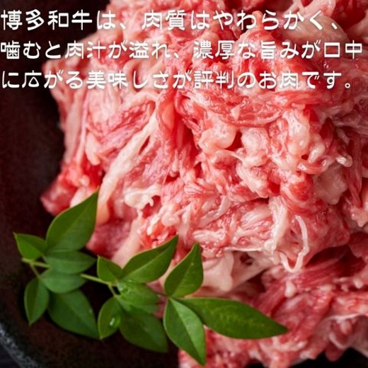 ZG280.訳あり！博多和牛A4～A5ランク切り落とし250g【博多和牛】
