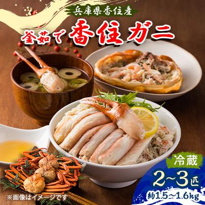 ふるさと納税 養父市 兵庫県香住産　釜茹で香住ガニ(紅ズワイガニ)2〜3匹入り(約1.5〜1.6kg)【9月上旬以降発送】