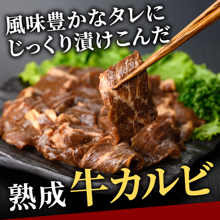 熟成牛カルビ 3kg (250g×12パック) たれ 味付 小分け 冷凍 焼肉 焼き肉 牛 牛肉 ビーフ カルビ BBQ 【そうざい男しゃく（株式会社池延）】【ho1473】