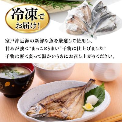 ふるさと納税 室戸市 【定期便 偶数月6回】 干物 黒潮セット (アジ・カマス・スルメイカ)詰め合わせセット |  | 02