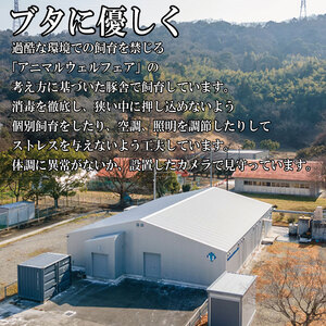 徳島大学 熟成ロースハム 500g ハム