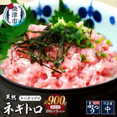 ふるさと納税 焼津市 焼津 海の極 海伸 マグロ ネギトロ 小分け 900g 100g×9パック(a10-1288)