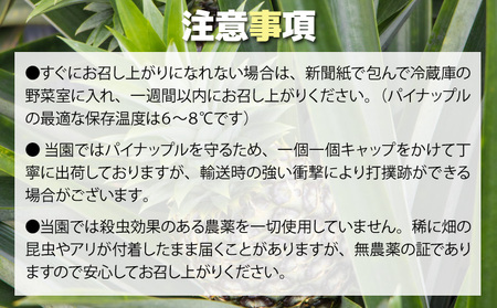 【2024年発送】リピータ続出！西表パイン園の蜜入り ピーチパイン4kgセット