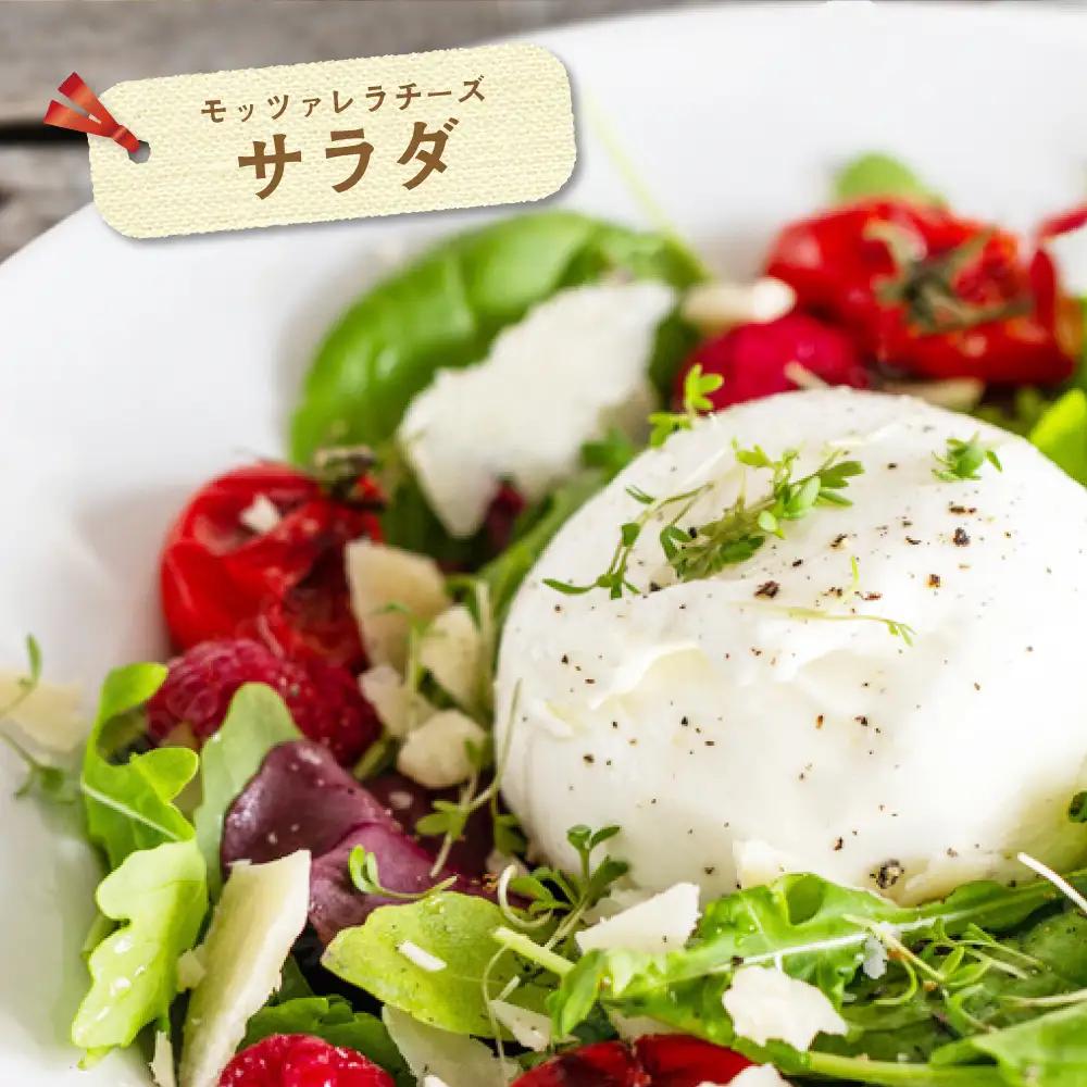 【定期便】森永乳業 モッツァレラチーズ 計900g(100g×9P)×8ヵ月【全8回】チーズ 北海道 別海町