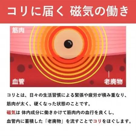 ピップエレキバン　130mT24粒 2個セット【配送不可地域：沖縄県】【1620101】