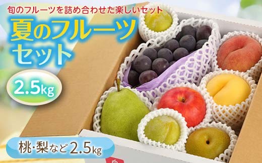 《先行予約 2026年度発送》夏のフルーツセット 2.5kg もも モモ 桃 デザート フルーツ 果物 くだもの 果実 食品 山形県 FSY-2563